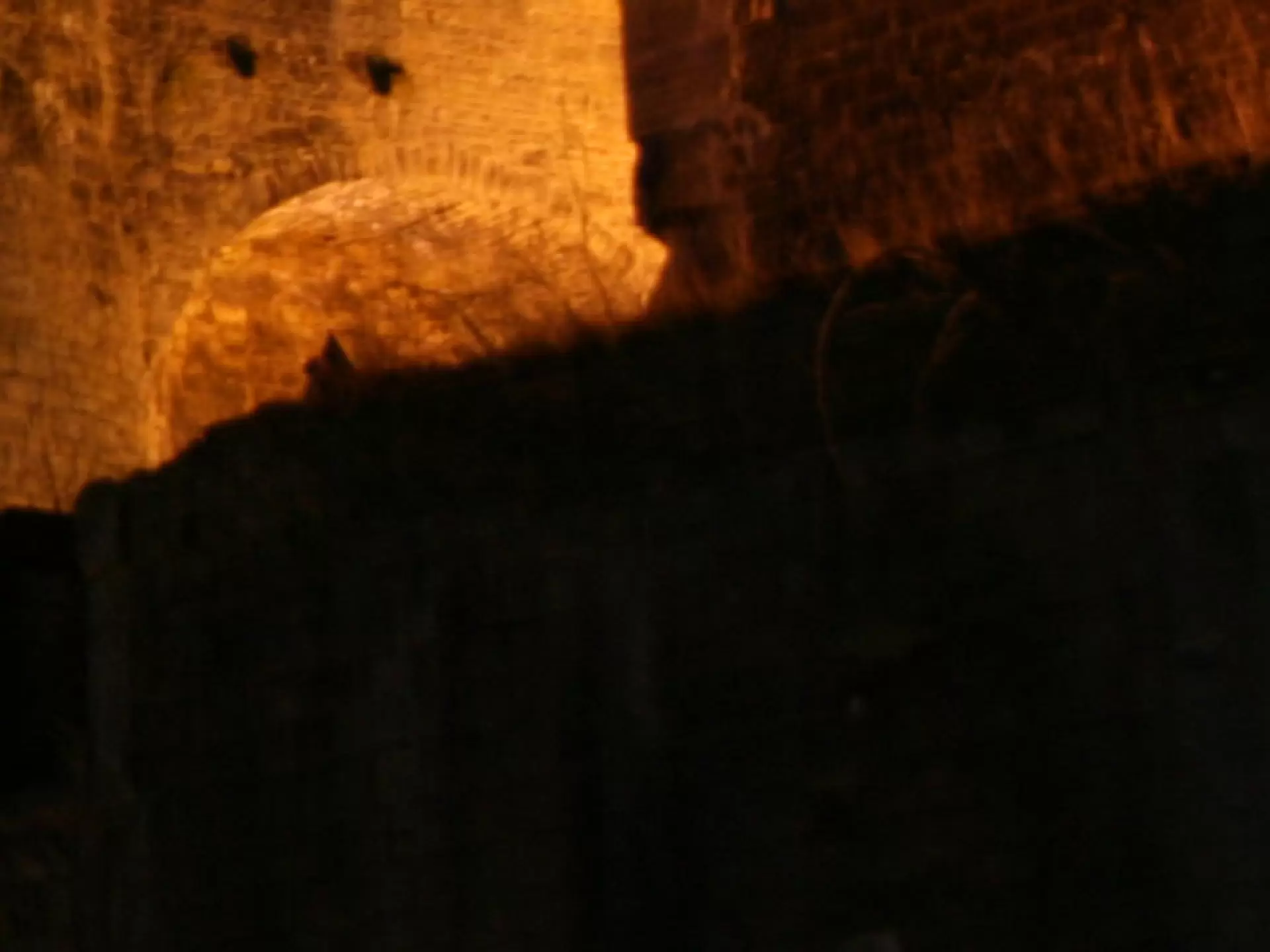 SEDAN HISTOIRE Societe d'Histoire et d'Archeologie du Sedanais SHAS SOCIETE HISTOIRE ARCHEOLOGIE SEDAN SEDANAIS